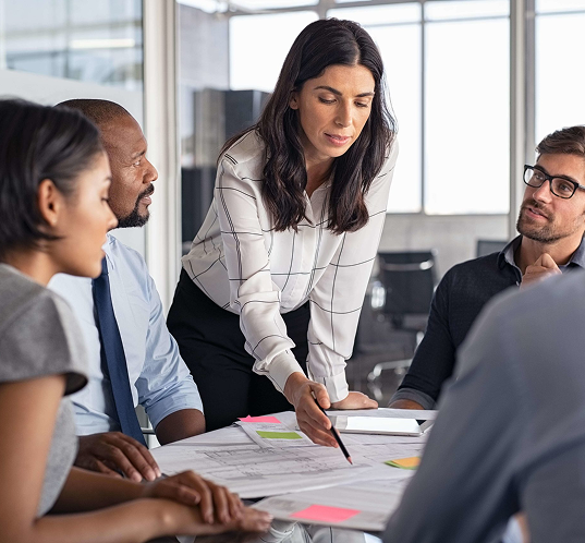 Equipe em reunião analisando um projeto